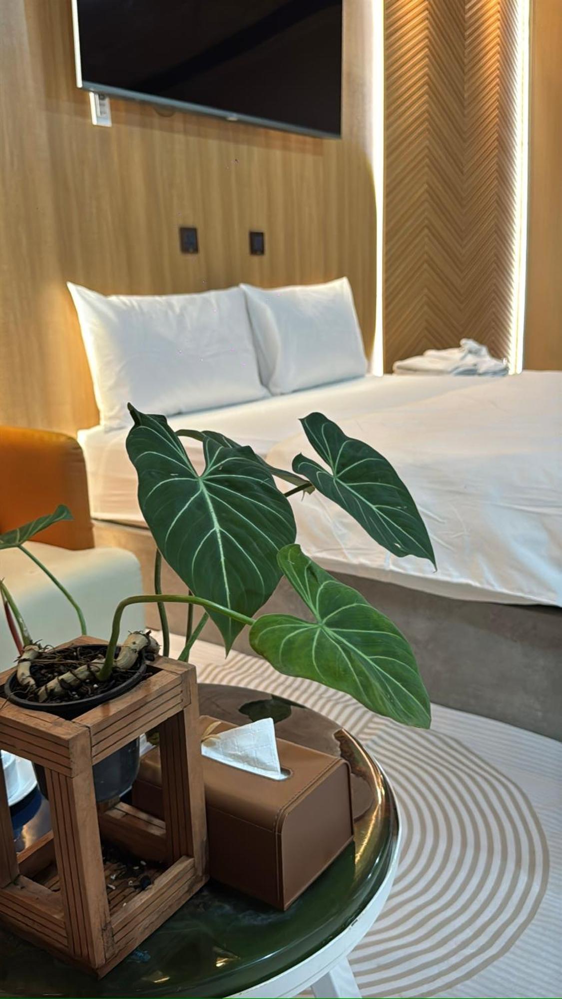 La Garden Homestay Long Xuyen Luaran gambar